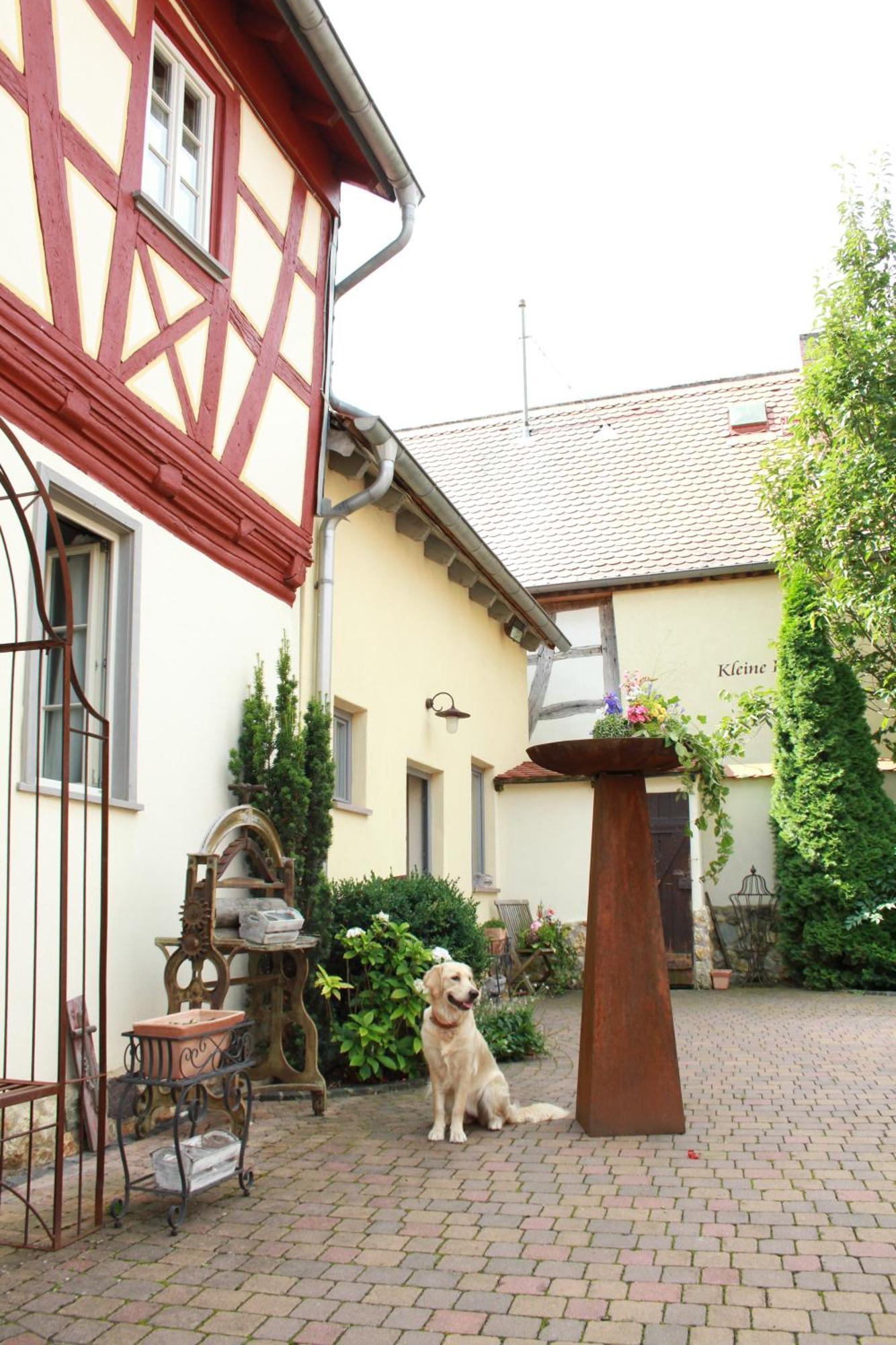 הוכנהיים אם מיין Kleine Residenz Am Schloss מראה חיצוני תמונה